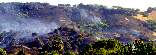 Fire in the Santa Teresa Hills west of Cottle Road