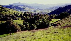 Santa Teresa County Park