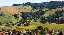 Santa Teresa Hills above Cottle Road