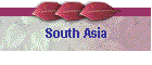 South Asia