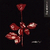 [Violator]