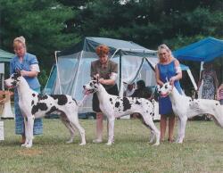 Midas and daughters