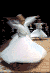 Whirling dervishes