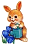 bunny3