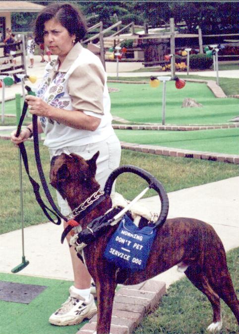 RockyToo (Boxer)