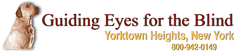 Banner  Guiding Eyes for the Blind