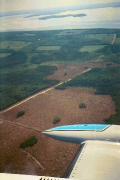 Clear Cuts between Dore and Smoothstone Lakes