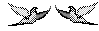 2 Turtle Doves