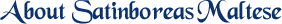 About Satinboreas Link