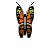 Click this butterfly to see about Satit