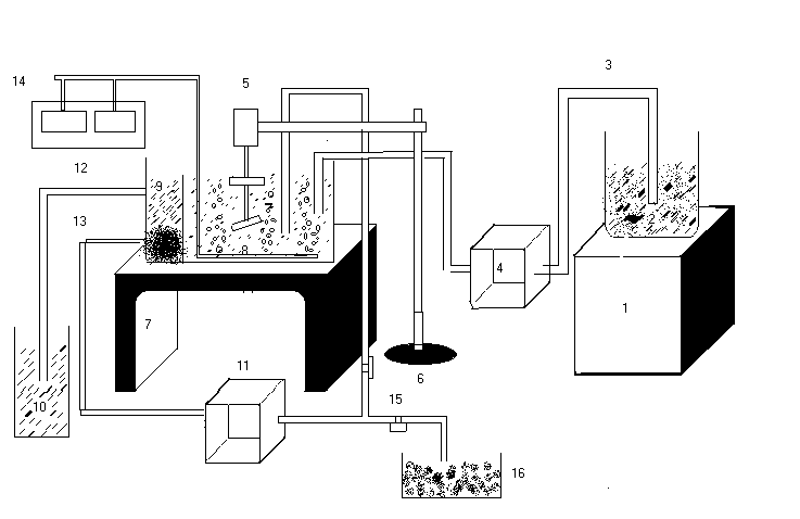 experiment setup