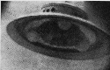closeup copy.gif (11097 bytes)