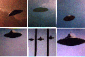 collection copy.gif (10953 bytes)