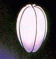 Daimon Pod