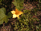 sept2004_15