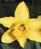 April 1999