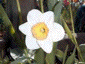 may2000_01