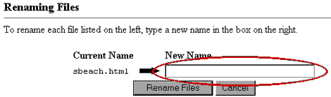 File Manager Screen Shot