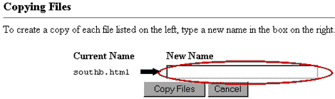 File Manager Screen Shot