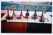 Interleague trophies 2002