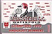 1993 2nd division knock out winners