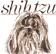 shihtzu head