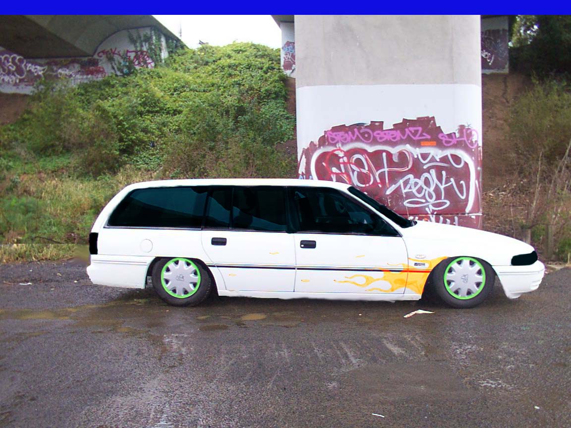 adams VP wild wagon