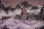 Purple Mountains