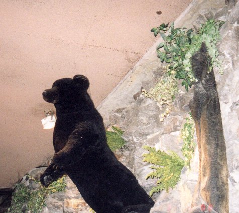 CAVES1.jpg