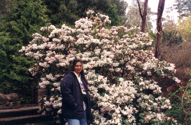 FLOWER2.jpg