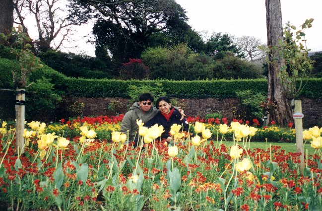 FLOWER3.jpg