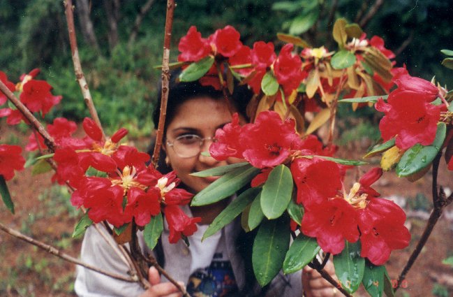 FLOWER4.jpg