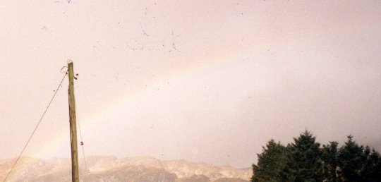 RAINBOW.jpg