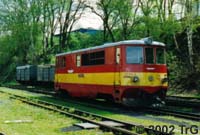 705 919-9