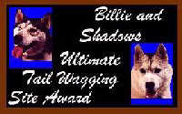 Bill&Shadows Ultimate Award 4/19/98