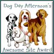 Dog Day Afternoon Award received 8/23/98