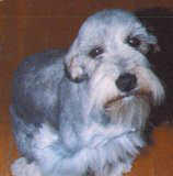 chester photo2