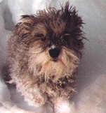 jesse photo1