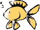 goldfish