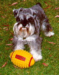 Max from Melbourne