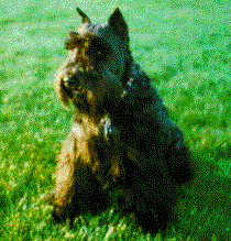 Max from NoCalif