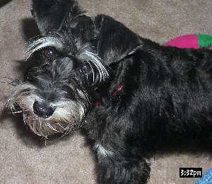 Baxter