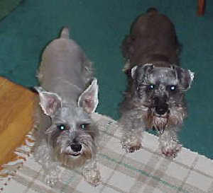 Barnum&Bailey