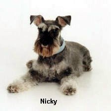 Nicky