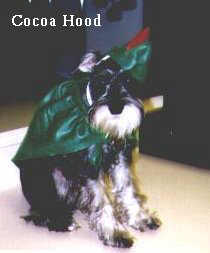 Cocoa Hood!