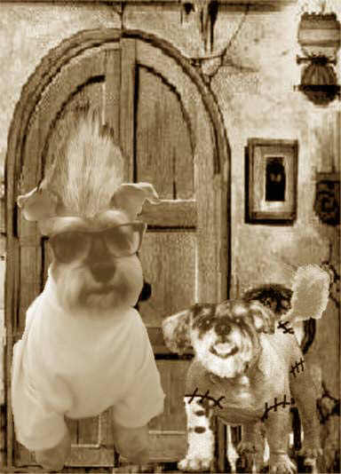 Frankenschnauz and Nickenstitch pic