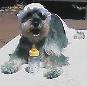 Rudy's Baby Photo