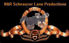 NR film logo