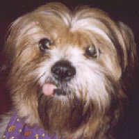 Becky 10-14-98