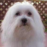 Casper 04-23-99